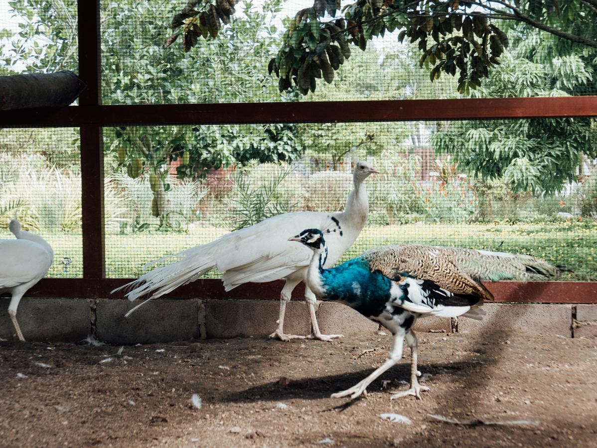 Rai Fahpratan Home And Garden Ban Pak Ngam  Luaran gambar